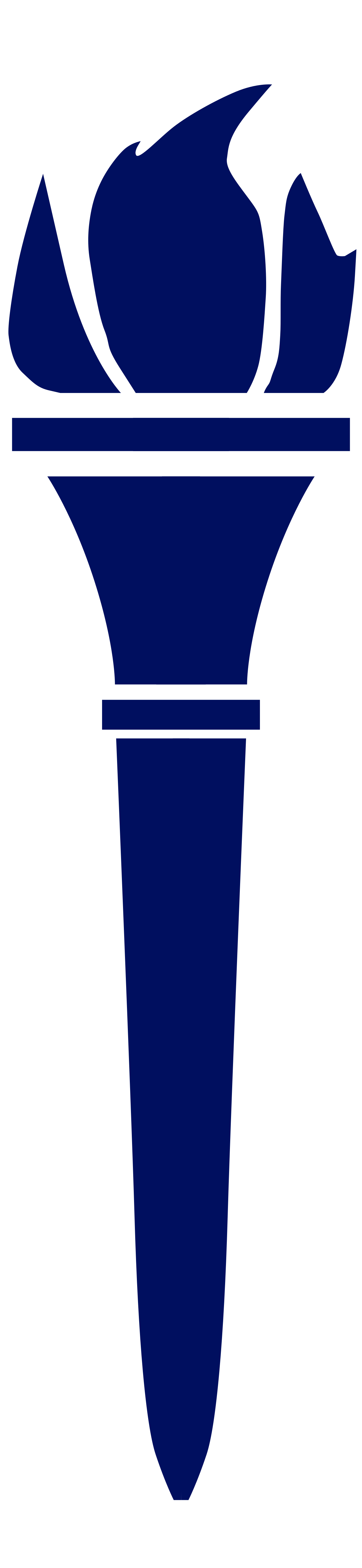 The Torch