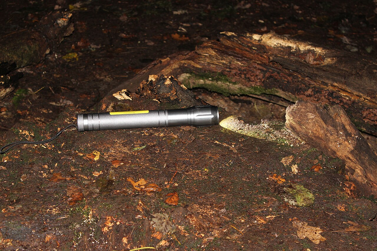The Torch